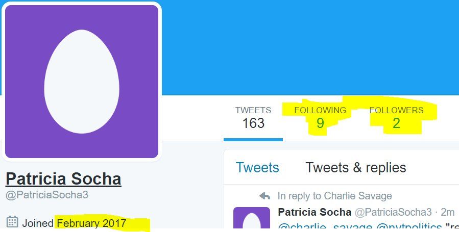 oh my god twitter doesn’t include alt text from images in their API