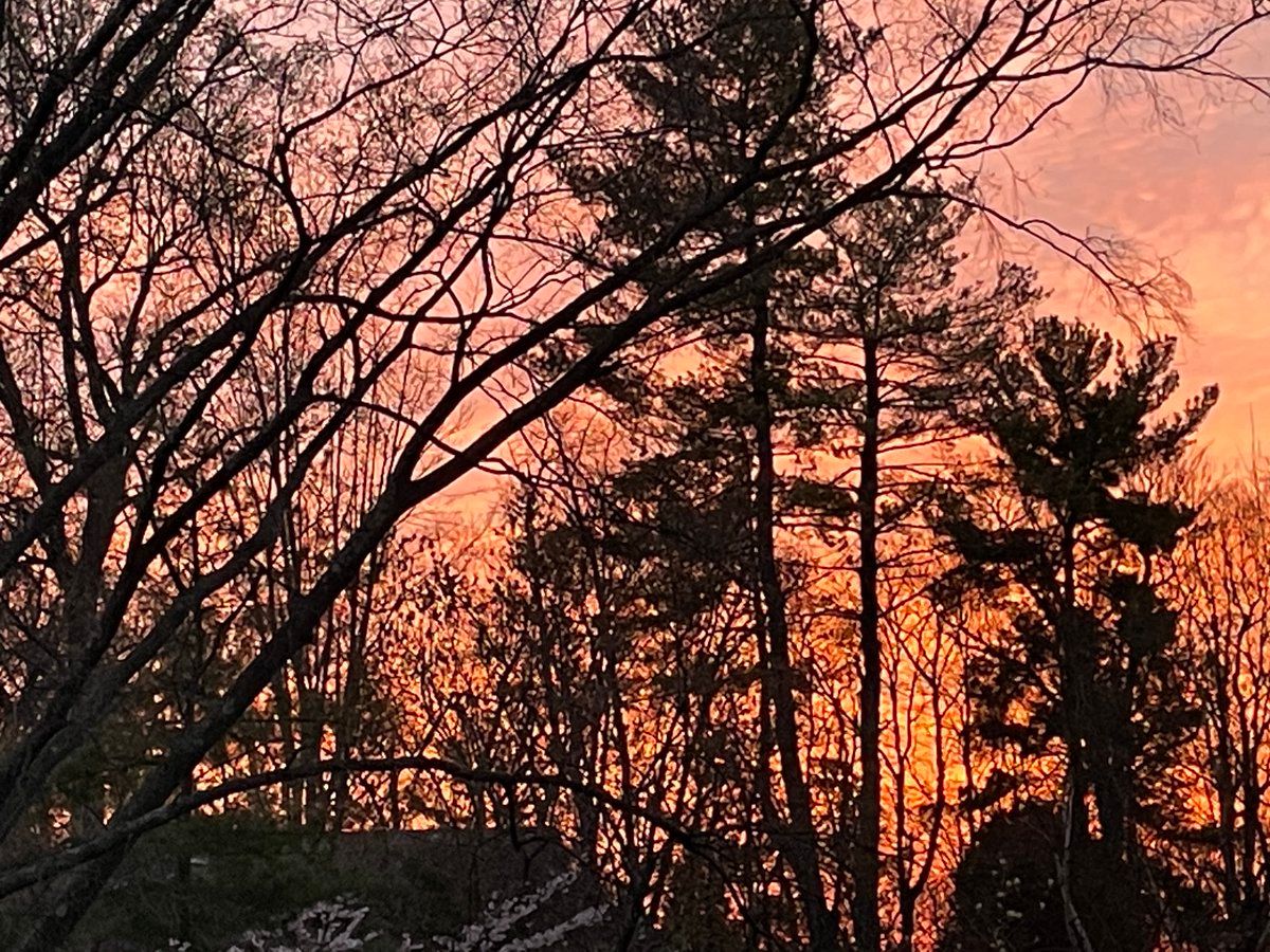 oh my god twitter doesn’t include alt text from images in their API