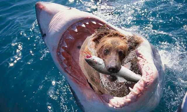 oh my god twitter doesn’t include alt text from images in their API