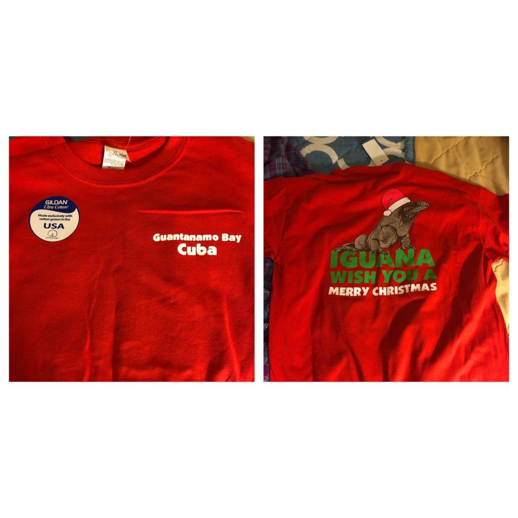 oh my god twitter doesn’t include alt text from images in their API