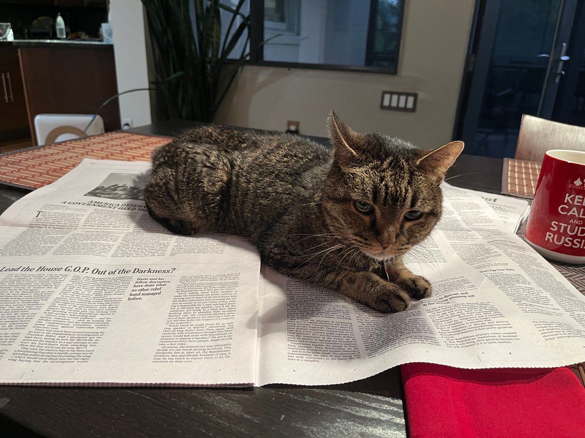 oh my god twitter doesn’t include alt text from images in their API